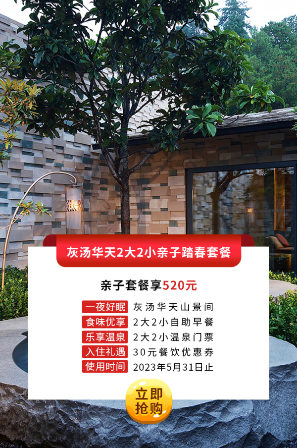 灰汤pp电子2大2小亲子踏春套餐.png